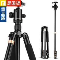Outdoor portable micro single tripod Camera PTZ Professional camera Multi-function SLR camera Photography tripod