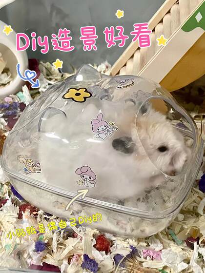 Diy透明仓鼠厕所沐浴室用品睡窝浴室浴缸防外溅金丝熊洗澡浴沙房