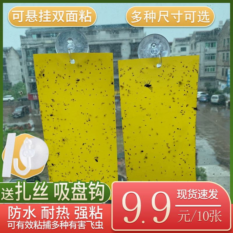 Sticky Trap Mosquito-fly Lamp Dedicated to Sticky Fly Plate Catch Small Flying Insect Gram Extinction God-Killer Kitchen Mosquito-fly Stickers