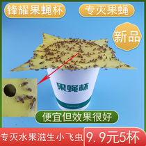 Remove the catch fruit fly cup small fly paste fruit fly trap kill small fly bug indoor kitchen