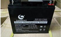Guangsheng CONSENT battery GS12V4 5AH emergency power supply Guangsheng battery GS12V5AH