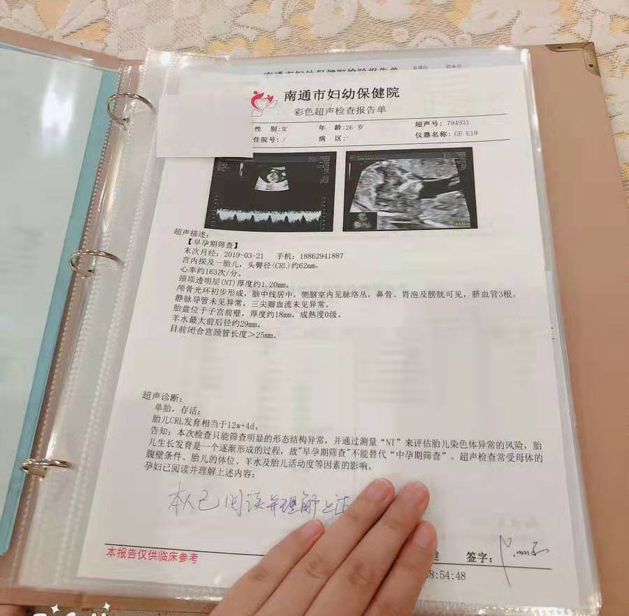 Pregnancy Pregnancy Test Pregnancy Test Portable Check Folder Bed Sheet Information Gestation Pregnancy Bag Report Pregnant Woman Cashier Bag