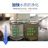 究极 Нитрифицирующие бактерии Аквариум качество качества стабилизатор рыбы Цилиндр