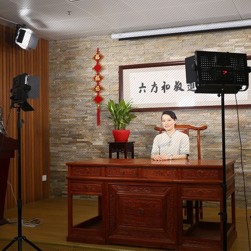 BEYANG BEIYANG LED1100D PHOTO-LIGHT LAMP SINGLE LIGHT SUIT