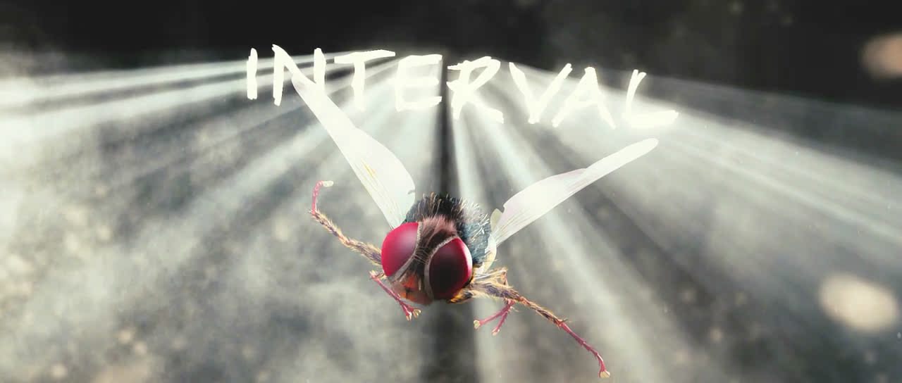 uump4.cc_功夫小蝇.Eega.2012.720p.BluRay.x264-D3Si 5.46G【简繁英】