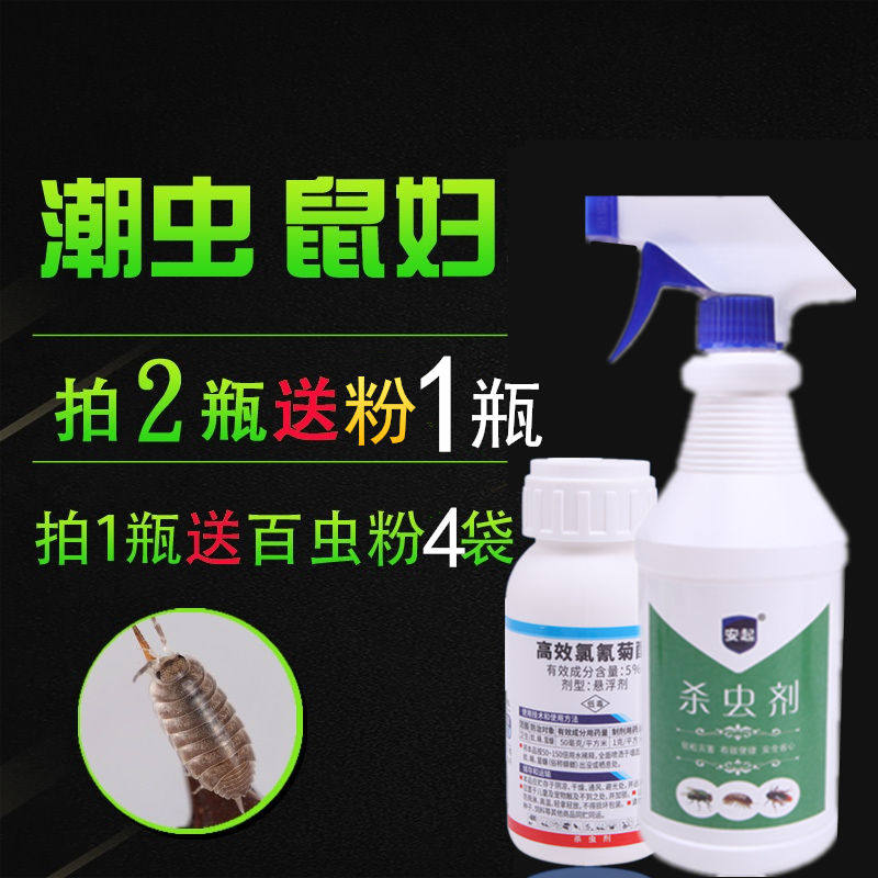 Anti-tide insect drug insecticide Domestic removal of damp and insect repellent Watermelon Indoor Reptile for the Insect Killer Extermination Powder