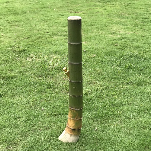 Основной цвет бамбук -сигаретная трубка с водой с высокой подковой подковы фильтрации ручной работы с дымом с дымовыми нитями, специальность Жаньцзяна Юньнана