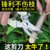 Stainless steel garden scissors Strong garden gardening pruning scissors Household labor-saving repair flower construction branch flower scissors