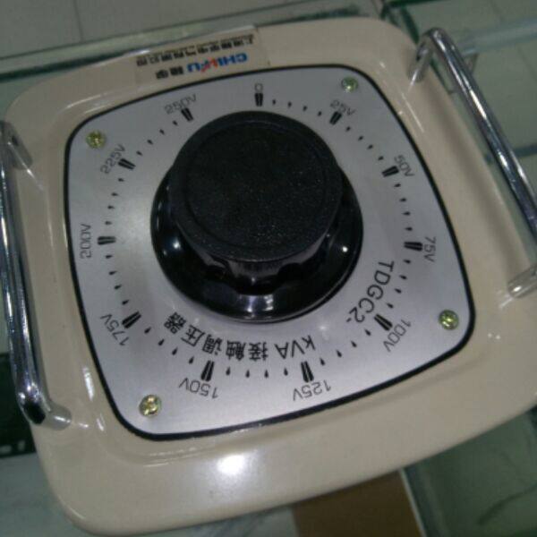 TDJ2-2000VA contact-type voltage regulator 0-250V