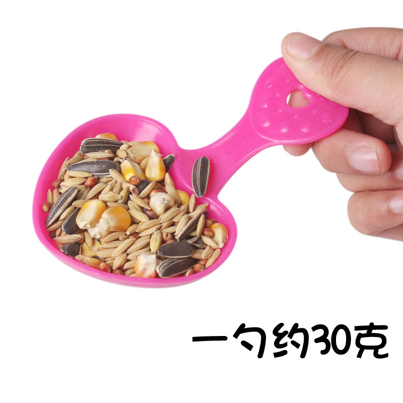 Harder Living Dragon Cat Dutch Pig Feed Drug Food Food Spoon for Pet Special Food