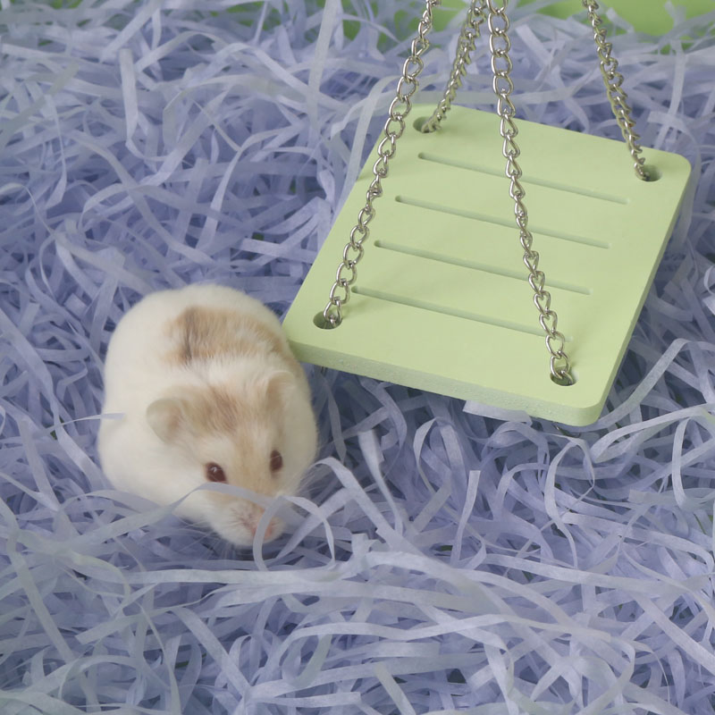 Hamster Toy Supplies Game Note Hamster Golden Silk Bear Dutch Pig Cushion Material Cushion Material Warm Nest-Taobao