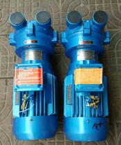 Shandong Bozen Vacuum Pump 2BV2070 Water Ring Vacuum Pump 2BV2071 Electric Vacuum Equipment SK-0 8