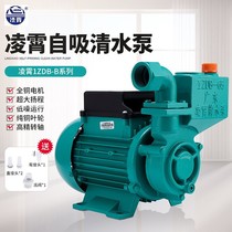 1ZDB45-B Lingxiao brand water pump household booster pump self-priming clean water pump 45 self-priming pump booster pump pumping pump