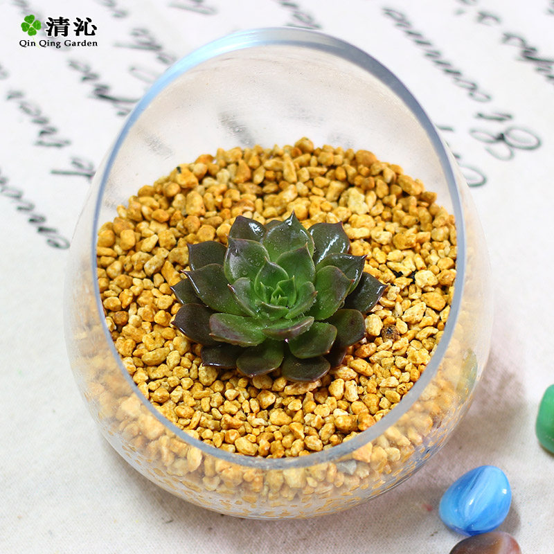 ���߶����辰������