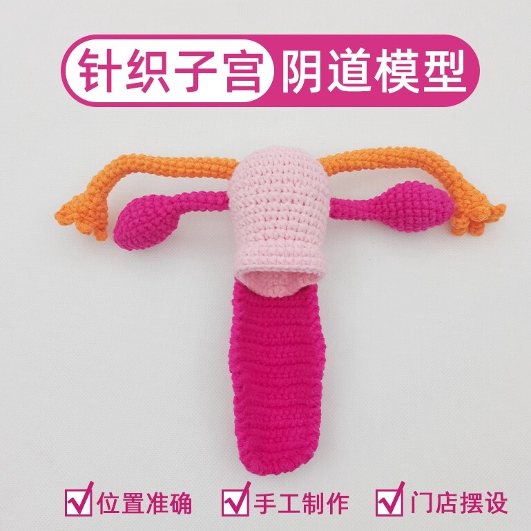 Female Uterus and Ovary Anatomy Vaginal Model, Gender-Specific Private Postpartum Beauty Salon Obstetrics and Gynecology Teaching Model Ornament