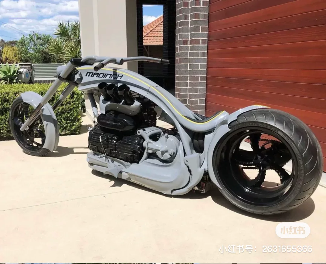 Импортированный Харли Дог Вольверин 1200cc Satu 400 Magna 250 Iron Horse Patrol Prince Prince мотоцикл