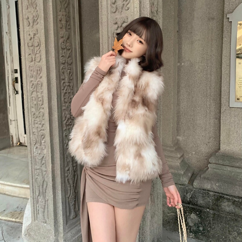 Imitation Fox Fur Eco-Friendly Fur Vest for Women 2026 Autumn and Winter New Style High-End Stand-Up Collar Sleeveless Fur Coat Imitation Fox Fur Eco-Friendly Fur Vest for Women 2026 Autumn and Winter New Style High-End Stand-Up Collar Sleeveless Fur Coat