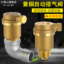 Brass Heating pipe automatic vent valve vertical ground warm tap water bleed valve 4 points 6 1 inch DN15 20 25