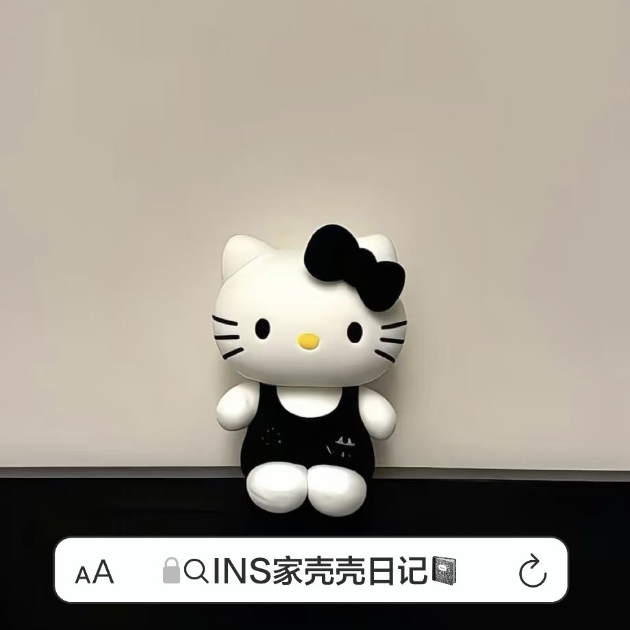 INS家壳壳日记