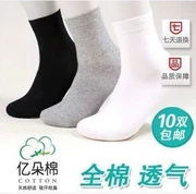 10 đôi vớ cotton vớ màu rắn vớ nam và nữ vớ trong ống vớ vớ người lớn vớ bóng rổ mùa xuân và mùa thu A