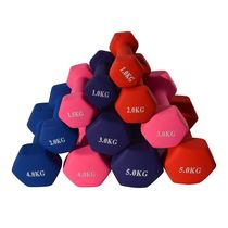 Dip plastic dumbbell womens fitness home equipment mens arm muscle yoga student childrens pure iron small dumbbell set