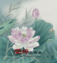 Gongbi painting white sketch Physical white paper background draft Flower and bird line drawing Chinese painting draft Lotus reed painting homework painting