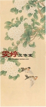 Gongbi painting white drawing background -- Hydrangea tits Peony Chinese painting Calligraphy painting flowers and birds painting Living room painting