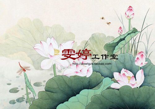 Meticulous painting line drawing physical white paper bottom draft flower and bird line drawing Chinese painting draft lotus dragonfly bee painting homework painting*