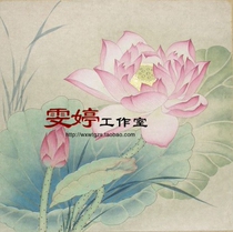 Gongbi painting White sketch Physical white paper background draft Flower and bird line drawing Chinese painting draft Lotus painting homework painting*