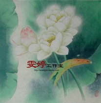 Meticulous painting white paper manuscript flower and bird line drawing Chinese painting manuscript Lotus lotus pond painting homework painting