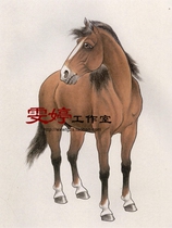 Meticulous painting white drawing draft-horse Feng Shui painting flower and bird painting four-foot painting Chinese painting calligraphy and painting homework painting