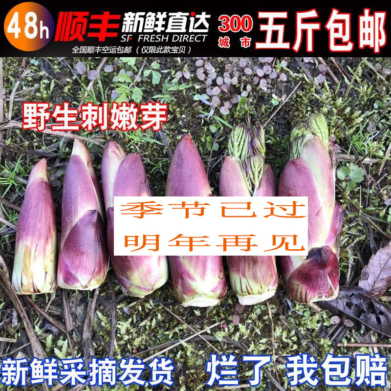 Fresh wild Spurs shoots Spurs old Bauer Spurs sprout Utap with green wild vegetables 500g