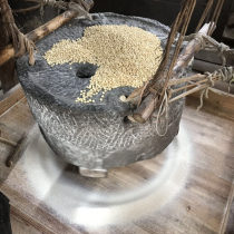 Farmhouse old varieties of Alpine white corn flour new big stone grinding Rod noodles wo head noodles 5kg load