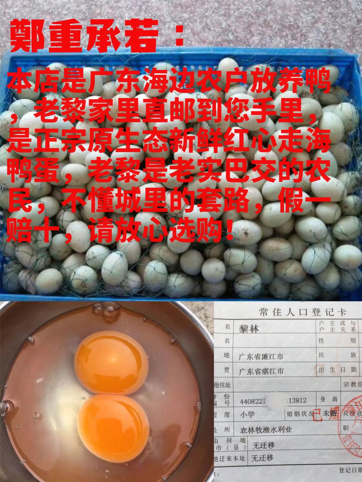 广东湛江特产生鲜红树林海鸭蛋，30枚装，让你尝鲜到底！