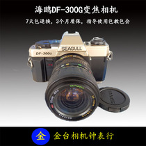 Seagull DF-300G SLR film camera with metering for photography