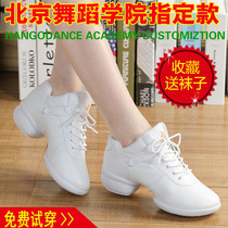 Alewei dance shoes female adult leather dance shoes soft bottom square dance with sailors female dance sports shoes