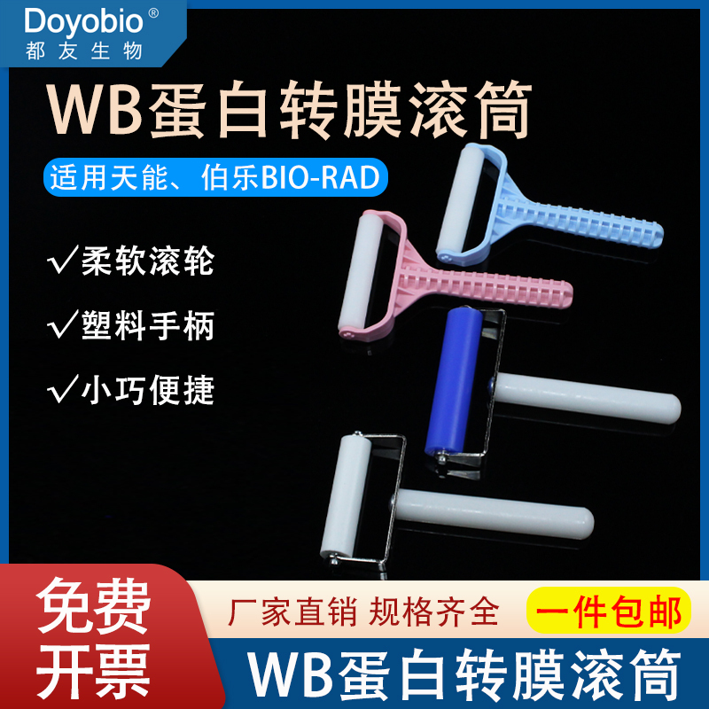 Domestic Western Blot Transfer Roller Wb Roller Protein Transfer Film Bubble-Removing Silicone Roller