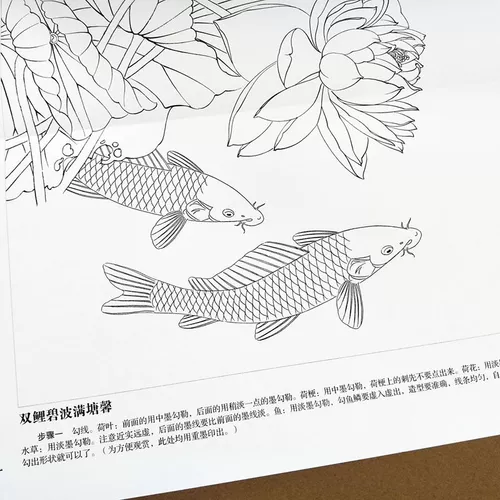 Оригинальная версия этого легко выучить 6 шагов лотос карп Zheng Lingling легко 6 шагов, чтобы изучить белый рисунок, рисовать линия, цветная картина
