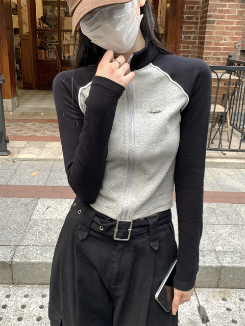 Sports Style Letter Embroidered Stand-Up Collar Raglan Sleeve Cardigan for Petite Women, New Autumn Casual Color-Blocked Short Jacket