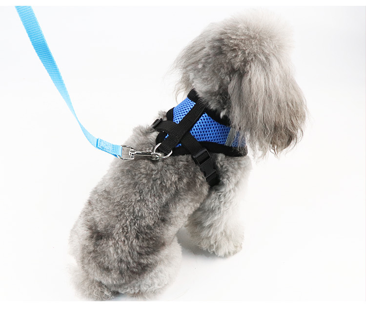 Puppy dog ​​dây xích áo ngực dây đeo chó chuỗi chó vừa và nhỏ hyena dây Teddy mèo vật nuôi - Cat / Dog hàng ngày Neccessities bình nước treo chuồng chó