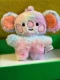 Rainbow Koala Bian Doll (Koya)