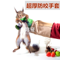 Anti-bite gloves squirrel hedgehog ferret small pet breeding gloves anti-bite and anti-scratch gloves pet gloves