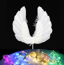 Net Red couple feather string lamp fairy feather angel wings birthday party kiss cake decoration plug-in