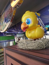 Spot Fantasy 14 landline bird popcorn buckets FF14 perimeter Fantasy land row birds