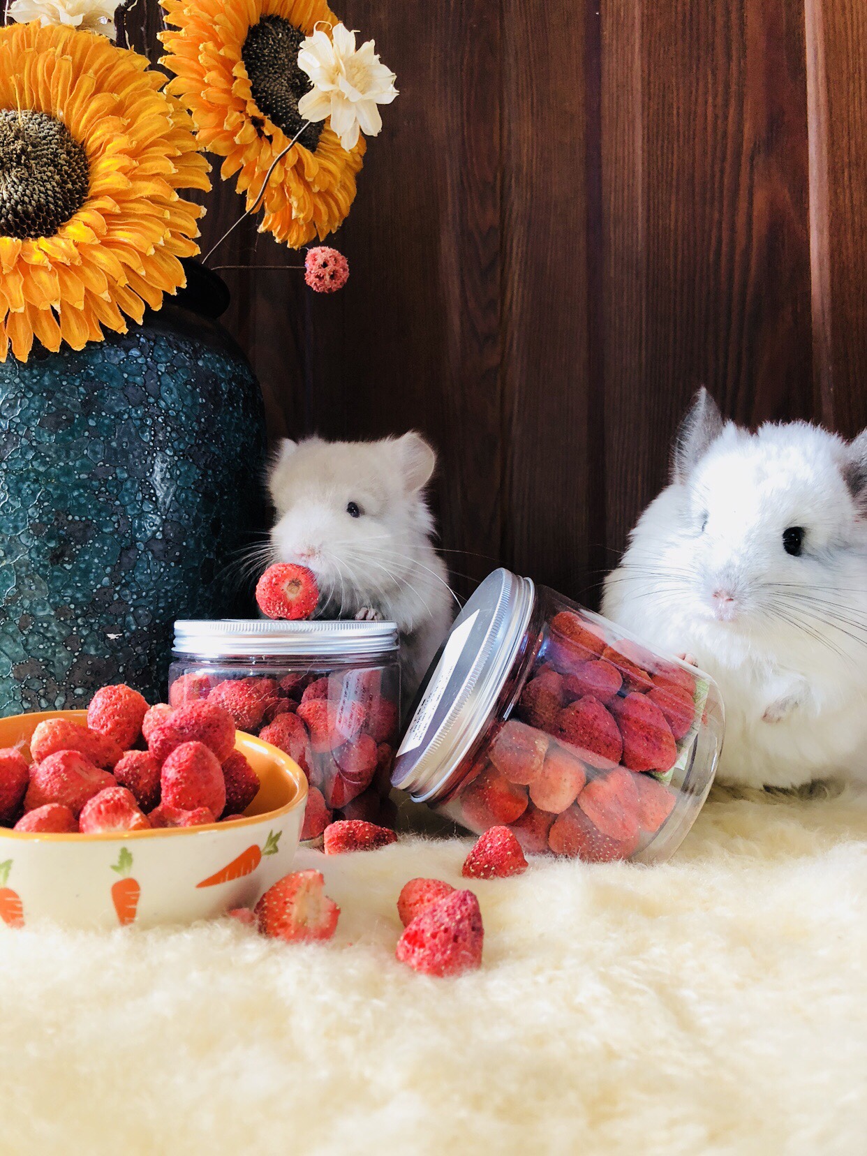Supplemental Vitamin Freeze-dried Strawberry Cherry Fig Without Additives Small Pets Healthy Snacks