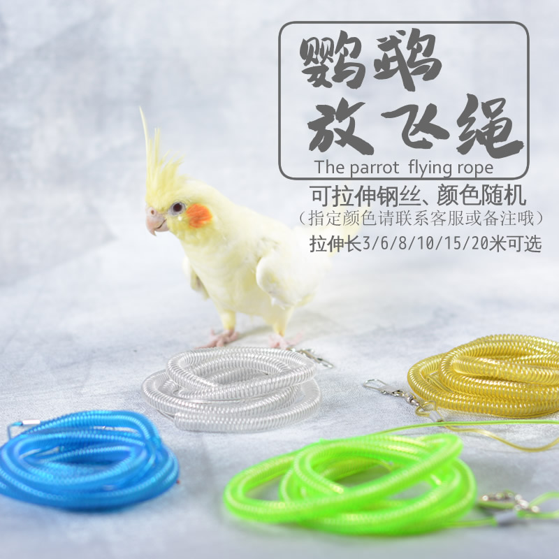 Parrot flying rope Anti-bite bird walking rope Tiger skin peony training flying rope Parrot anklet foot ring