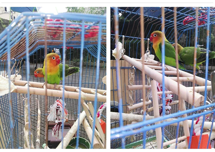 Vẹt kết hợp vừa và nhỏ Tiger da đu thang thang cắn cắn đồ chơi Parrot toy - Chim & Chăm sóc chim Supplies