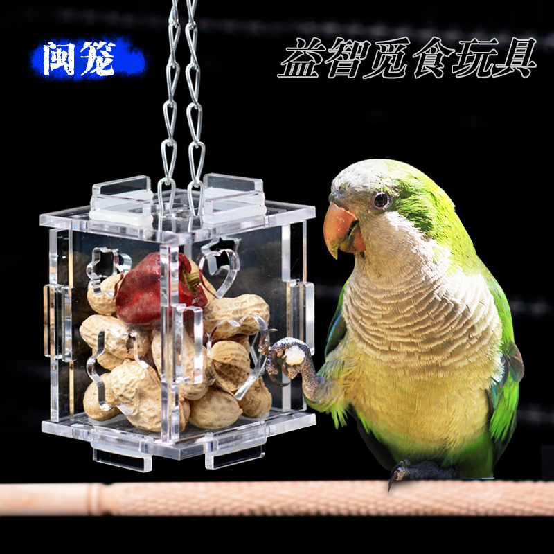 parrot puzzle toys