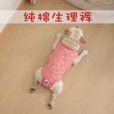 Менструация тетушка штаны с борьбой с лучшим медведем Тедди