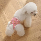 Физиологические штаны для собак, собака, PA Gaig Teddy Anty -Harassing Ganitgable Sainting Safety Baints, Менструальная тетя трусики